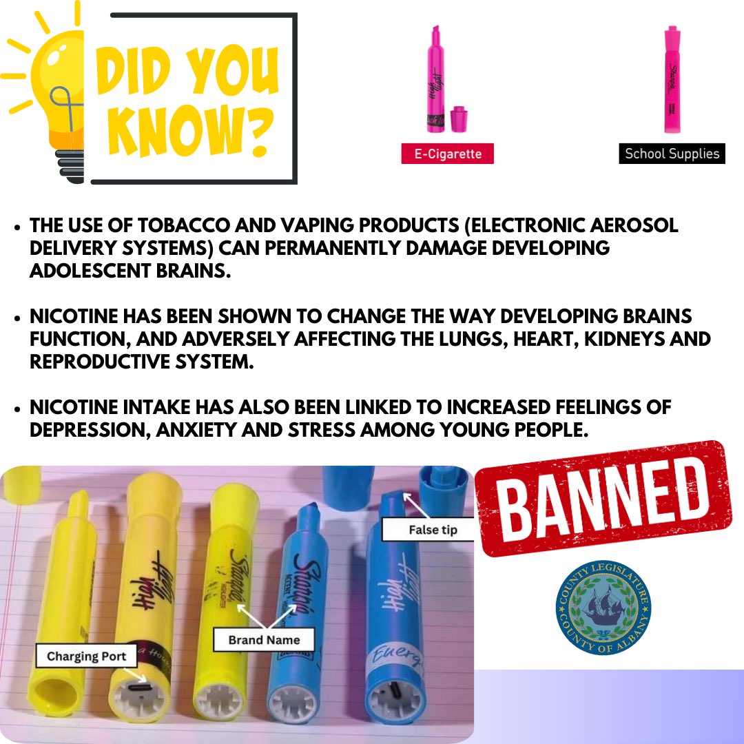 The Legislature approves a local law prohibiting the sale of camouflaged vaping devices in Albany County.