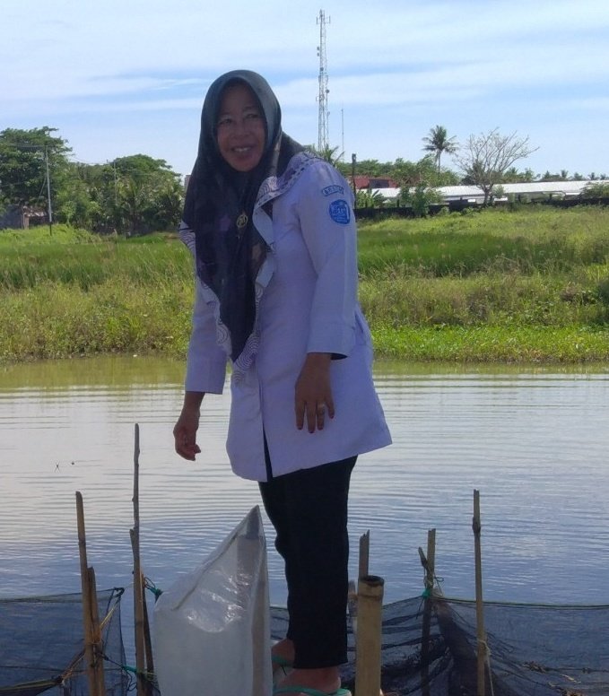 MLuhkan's tweet photo. Selasa,5/11/2024,Muliyati Luhkan Pinrang,panen selektif ikan bandeng , tambak tradisional milik lamba anggota Pokdakan potongnge,desa Mattongang tongang,kec.Mattiro sompe, luas lahan 2ha,jumlah panen,125kg,harga rp.20.000/kg 
#luhlapor
#Panen
@bppsdm_kp 
@BRPBAP3_Maros https://t.co/z0G6rxR85L