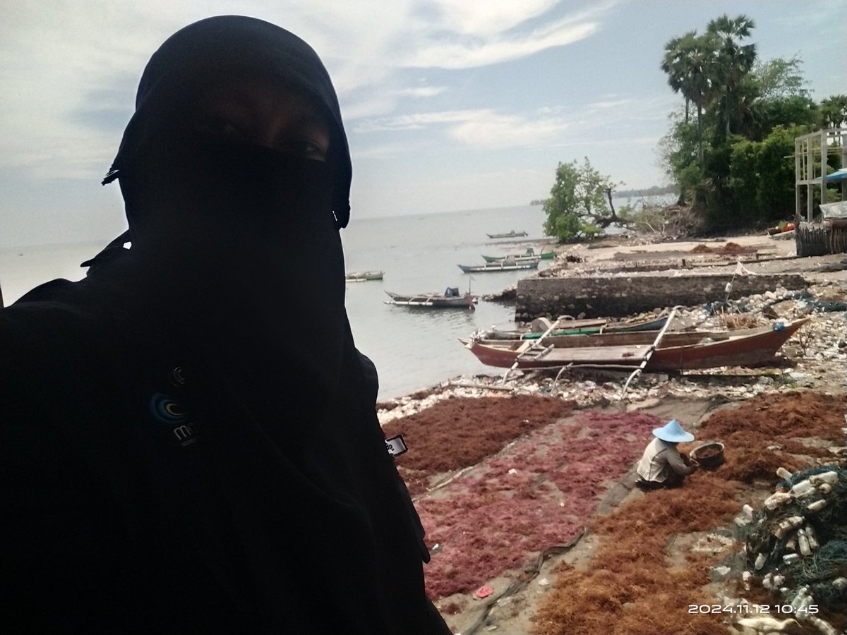 stdewi98's tweet image. Selasa,12/11/2024 Pengambilan Data Produksi pada Pokdakan Kassibumbung 250 kg @ 5000 Jenis Eucheuma Cottonii di Desa Bontosunggu Kec Tamalatea 
# Puslatluh KP
# BRPBAPPP Maros
# Luhkan Jeneponto