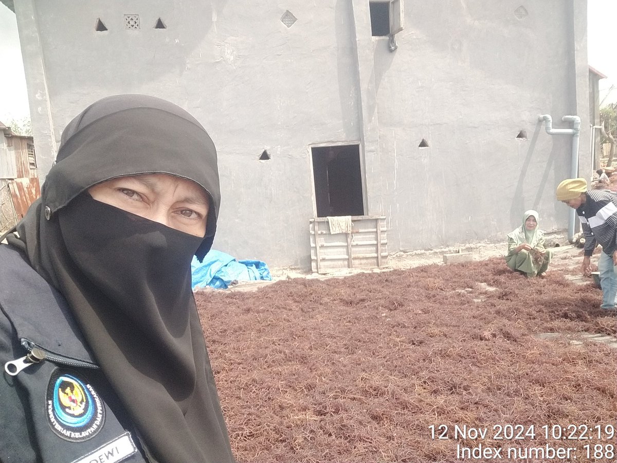 stdewi98's tweet image. 