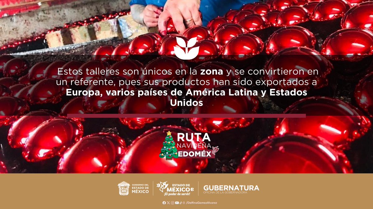 Delfina Gómez A. tweet media