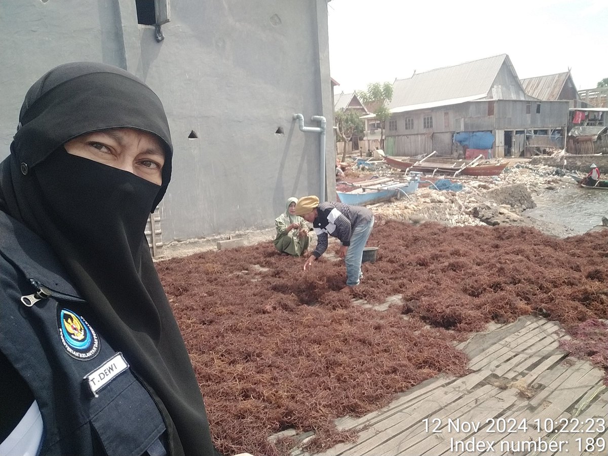 stdewi98's tweet image. Selasa,12/11/2024 Pengambilan Data Produksi diPokdakan Intan Bersinar  sebanyak 670 kg @5000 Di Desa Bontosunggu Kec.Tamalatea Kab.Jeneponto
# Puslatluh KP 
# BRPBAPPP Maros 
# Luhkan Jeneponto