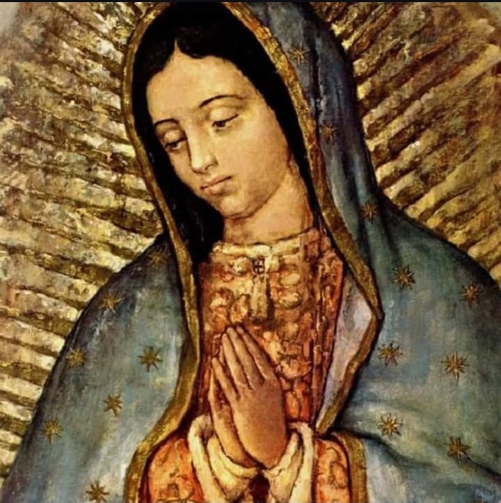 DANTE_eloficial's tweet photo. ✝️ Dios te salve, María, 
llena eres de gracia;
el Señor es contigo.
Bendita Tú eres 
entre todas las mujeres,
y bendito es el fruto de tu vientre, Jesús. 

Santa María, Madre de Dios,
ruega por nosotros, pecadores,
ahora y en la hora de nuestra muerte. Amén 🙏 https://t.co/pHnoVksfWb