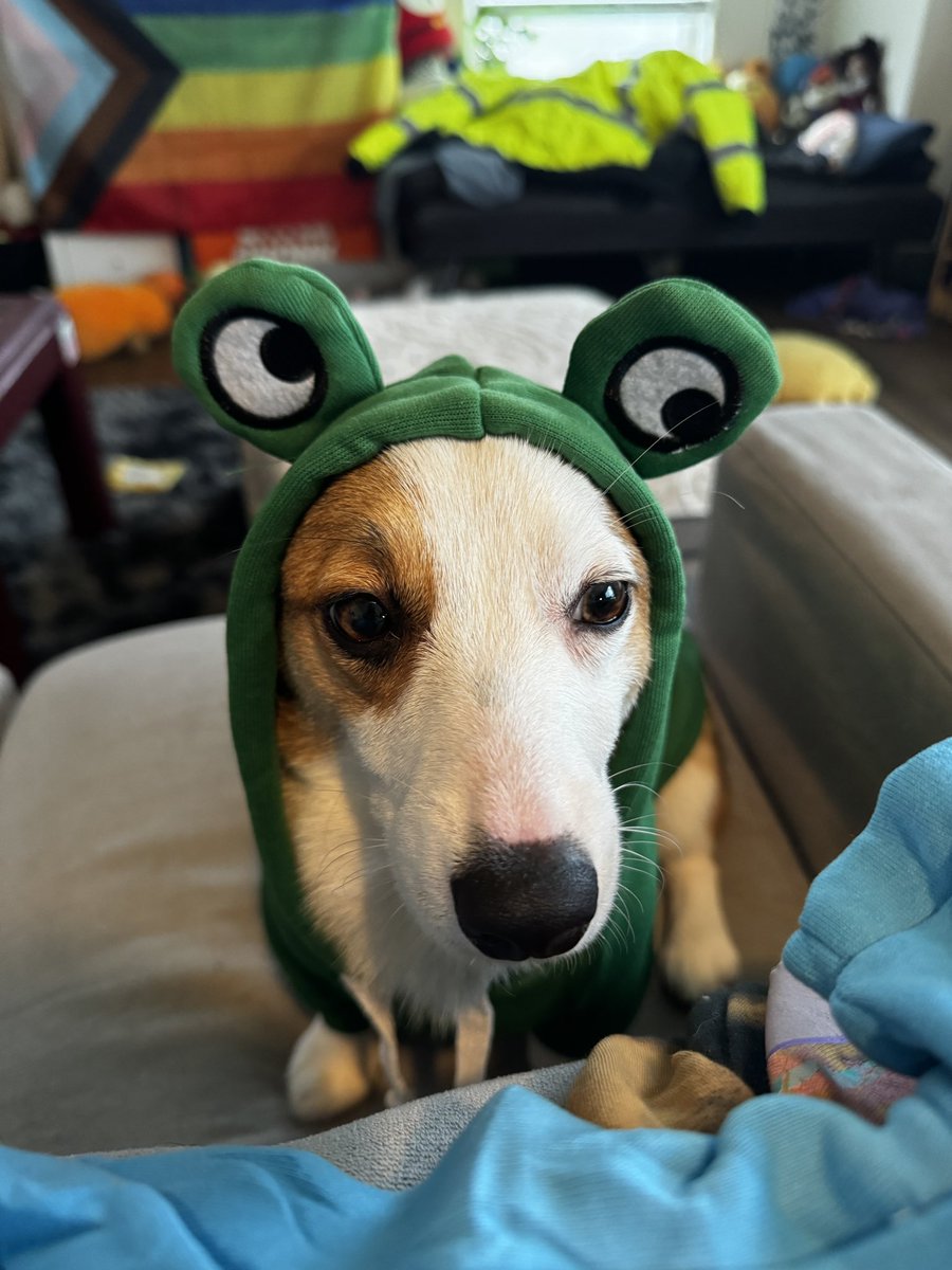 NeonMusubi's tweet image. Come watch my stream? Musubi might show up! Last day to earn 💜purple💜 names in Overwatch 2!

twitch.tv/NeonMusubi

#smallstreamer #twitch #overwatch2 #LGBTQIA+ #enbystreamer #corgi