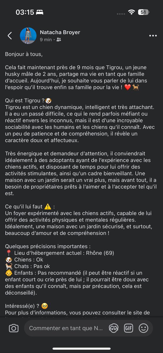 natacha_br1's tweet photo. Bonjour Twitter,

J’aurai besoin d’un petit coup de pouce pour diffuser mon annonce pour l’adoption d’un husky de Sibérie (cf screen de l’annonce ci-dessous). 
Merci à tous ! 
#adoption #chien #husky https://t.co/OOTiyn8x5g