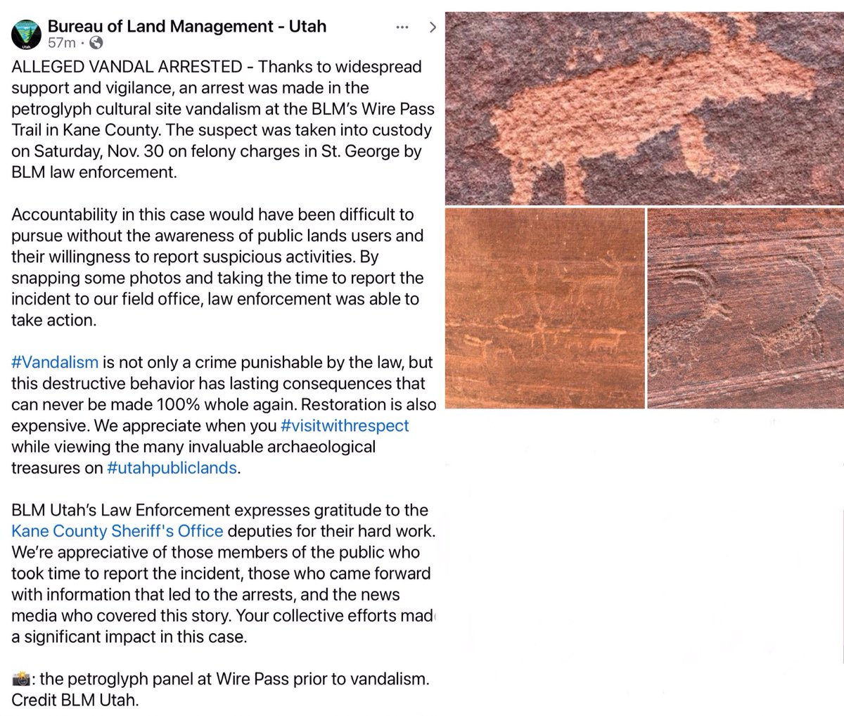 Blueequus775's tweet photo. While I’m glad the vandals were caught, I have to wonder why we pay people to “manage” livestock that causes enormous damage on public lands and wildlife and then also subsidize the ranchers so they can graze for almost free. https://t.co/m1FX0rymJ1