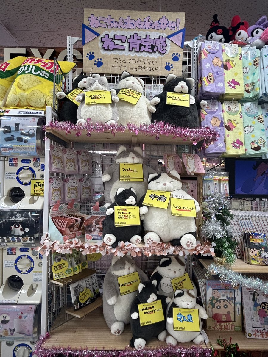 幸せ太り、、、🐱🐱🐱