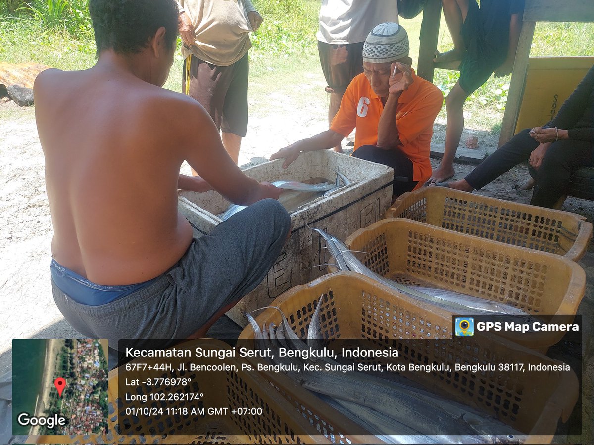 ZaniTarzan's tweet photo. Selasa(01-10-24)tarzan zani luhkan kota bengkulu.hasil tangkap anggota koperasi lancang kuning ikan layur 20 kg.29000K 
#GiatluhkanSatminkalBRPPUPP
#luhlapor 
@bppsdm_kp 
@bppsdm_brppupp https://t.co/HwkLHWy58c