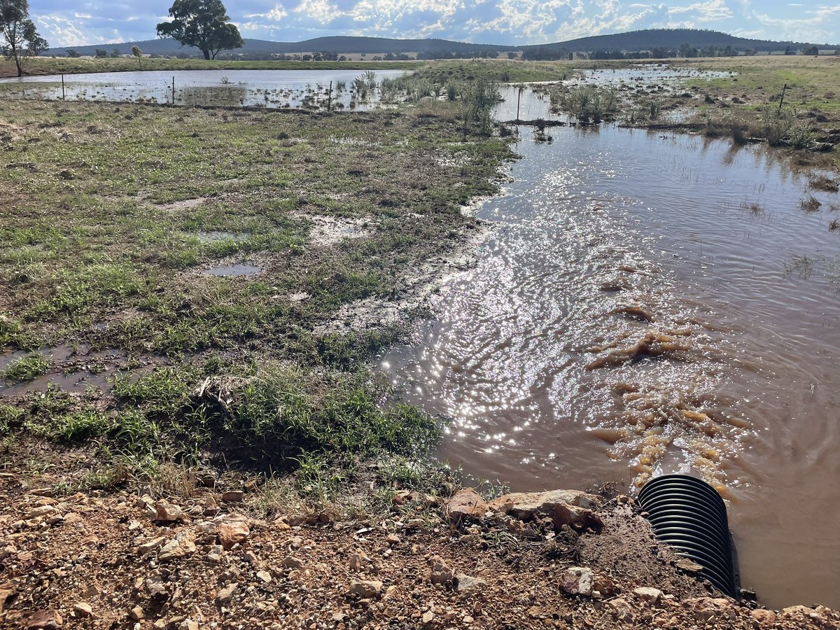 Geoff Minchin 🇦🇺 tweet media