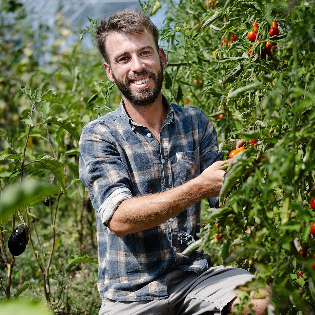 Aujourd'hui, c'est le #GivingTuesday, une journée pour célébrer la générosité ! Depuis 20 ans, Terre de Liens agit pour installer des paysan·nes partout en France et préserver les terres. Et c'est grâce à vous !

Pour soutenir nos actions 👉 buff.ly/3spPfhW

Merci 🫶