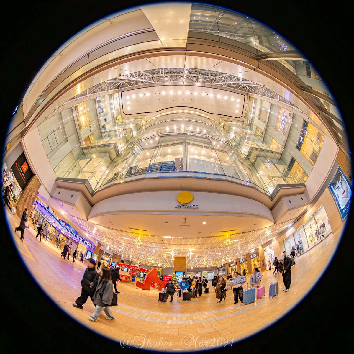 札幌ステラプレイスの１階東側天井に施された雪の結晶イルミネーション❄️✨

屋外のさっぽろホワイトイルミネーションにも引けを取らない気がします😃