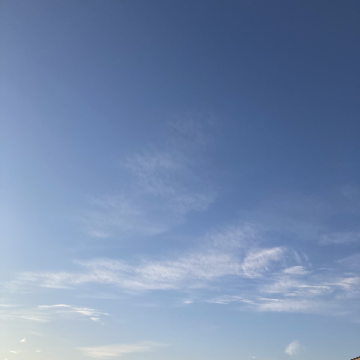 akirakawabata24's tweet image. あす4(水)はファンミーティングの時以来の、#ウェザーニュースLiVE アフタヌーン担当です。

最新の気象情報に加え、私が能登災害ボランティアで感じたことや、これまでいただいていた、#きらりんの園芸部 リポートもご紹介させていただく予定です🌱