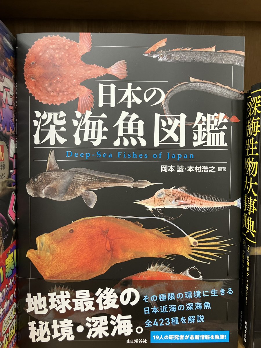 新刊入荷】 『日本の深海魚図鑑』（＃山と渓谷社） 極限の環境に生きる