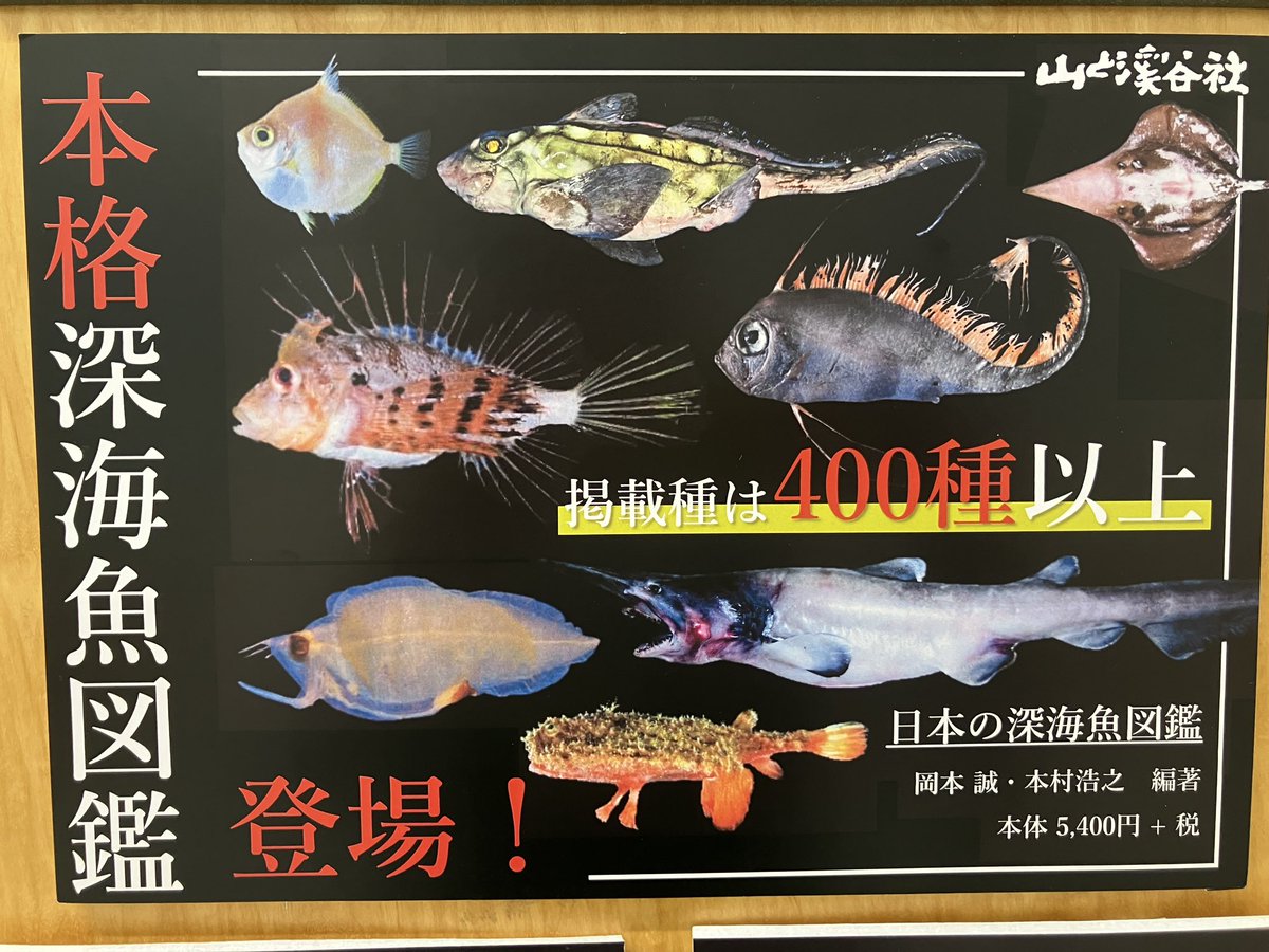 新刊入荷】 『日本の深海魚図鑑』（＃山と渓谷社） 極限の環境に生きる