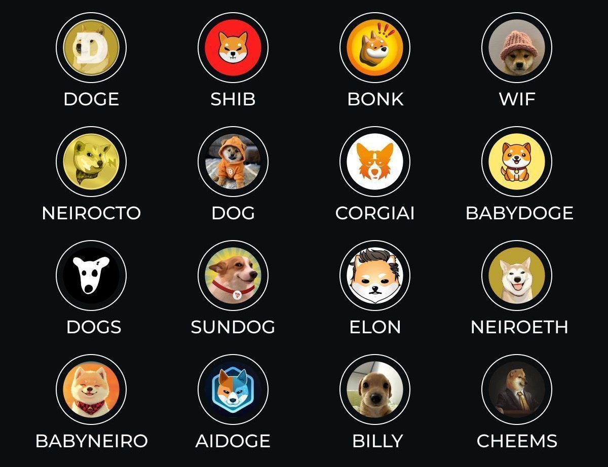 WhaleSatoshi's tweet image. Which #memecoin should I invest $10k in right now?