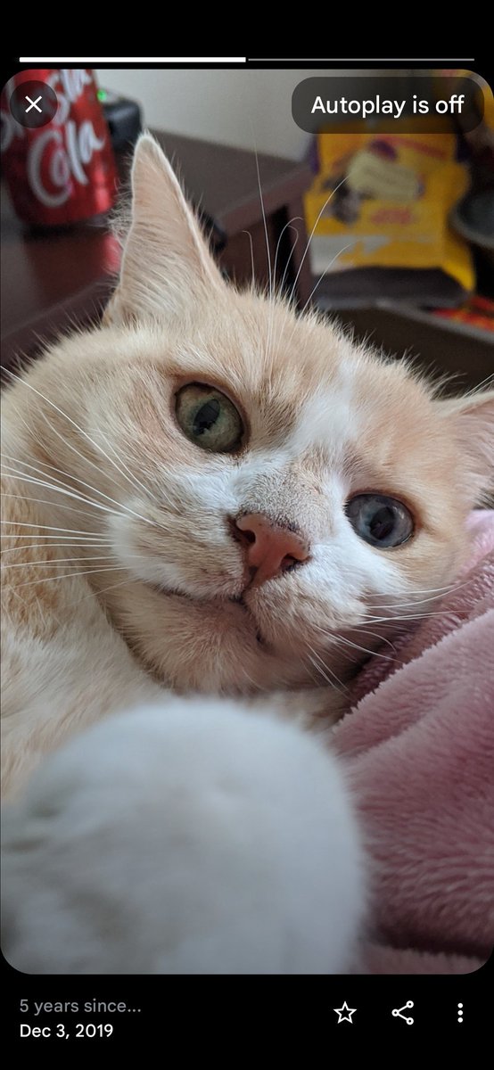 Found this picture of Crybaby. Sometimes Google memories get it right.