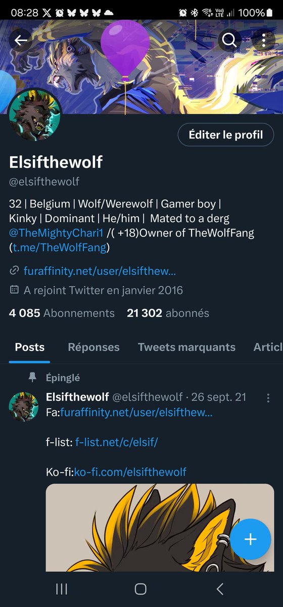 Elsifthewolf tweet media