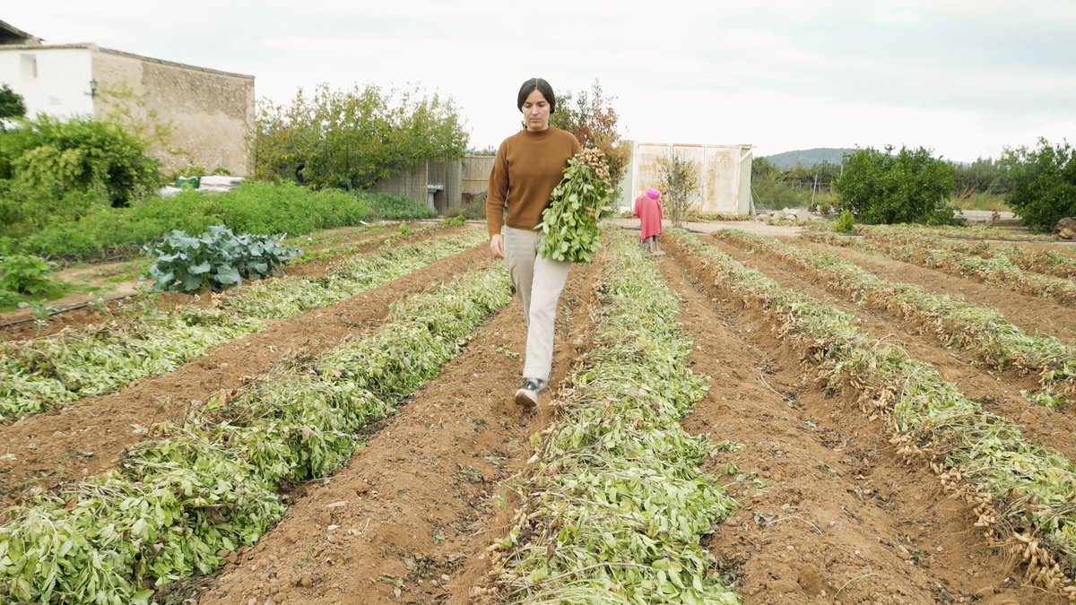 🔎 <a href="/zoomAPunt/">ZOOM À Punt</a> alcanza su cuarto mejor dato de la temporada con un 4.3% de share y una media de 51.000 espectadores en <a href="/apunt_media/">À Punt</a> 

🔎 Se sitúa un +41.2% por encima de la media de la cadena en el día 

#QueVivaLaTele #Audiencias