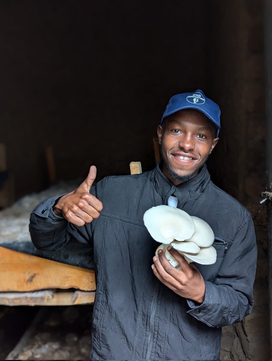 etiennexpert's tweet photo. 🌱 YEFEME Rwanda LTD: Growing health &amp; sustainability, one mushroom at a time! 🍄

We produce high-quality oyster mushrooms using natural, chemical-free methods. Nutrient-rich, eco-friendly, and transforming lives in Rwanda.

Join us in building a better tomorrow! 💚

#Mushrooms https://t.co/WkTADAO04M