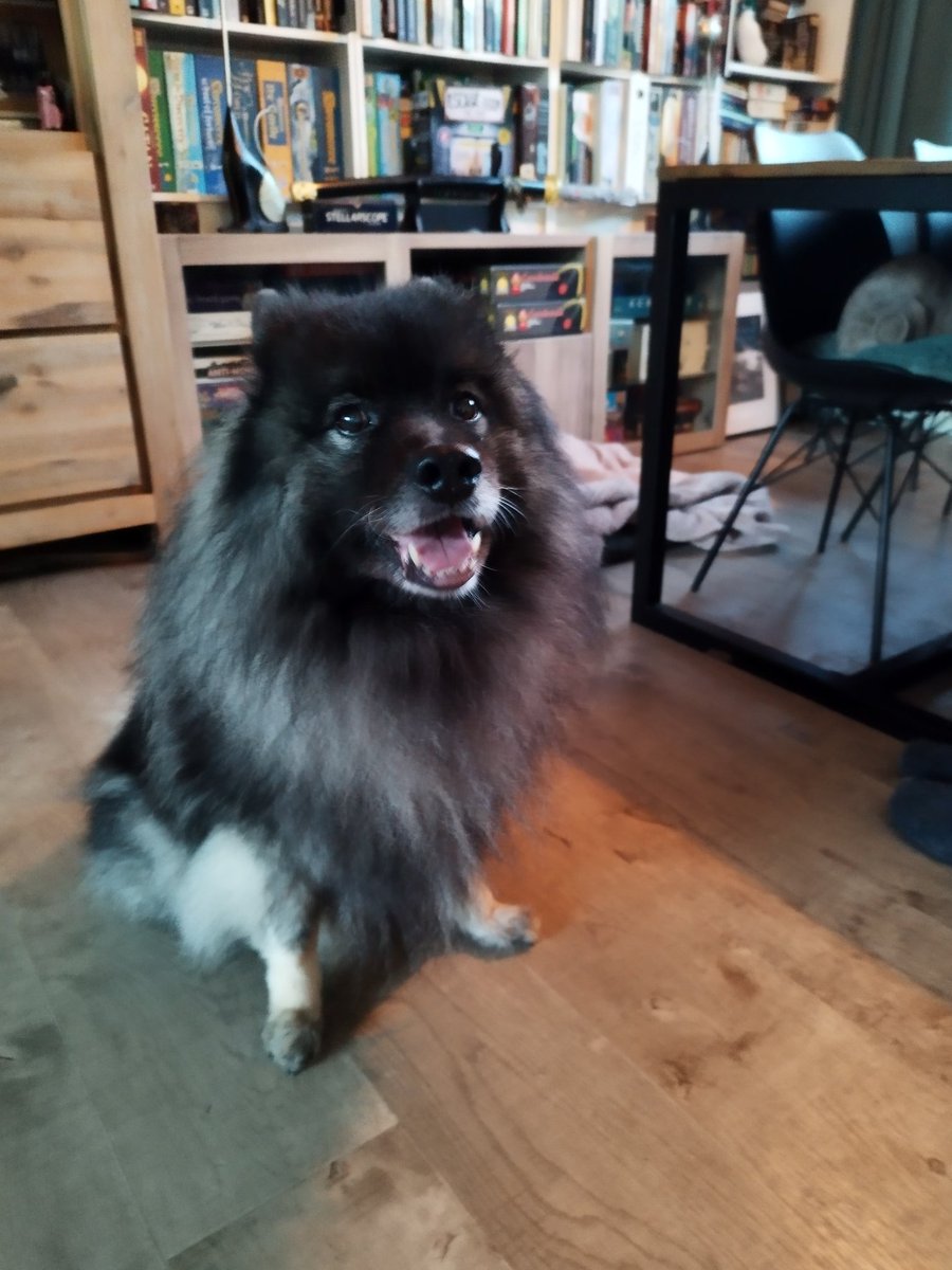 Mark Baker 🇪🇺 (@MarkBaker@phpc.social) tweet media