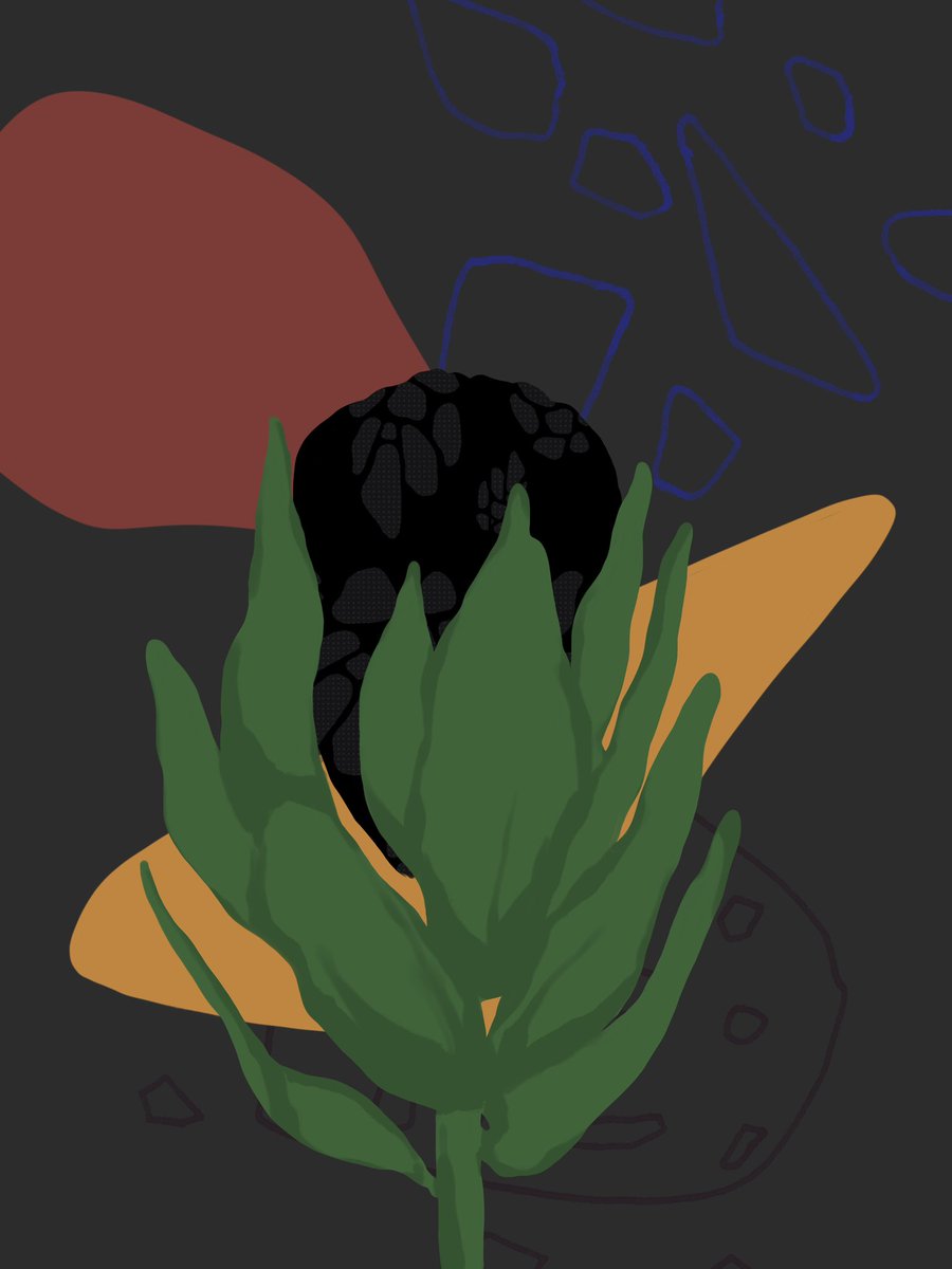 Flwr 
5/5 5 XTZ

objkt.com/tokens/KT1TF7E…

#NFTCommunity #nft