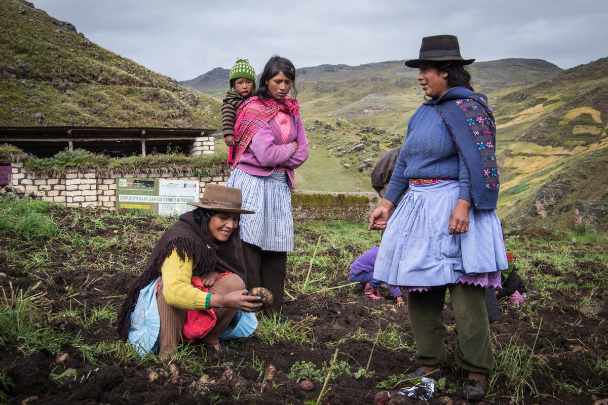 🍴🆘Perú enfrenta una situación alimentaria crítica con uno de los peores Índice Global del Hambre de los últimos años. Así se refleja en el último informe del Índice Global del Hambre elaborado por Concern Worldwide y WHH.

❤️Nuestras intervenciones son fundamentales💪🏼
