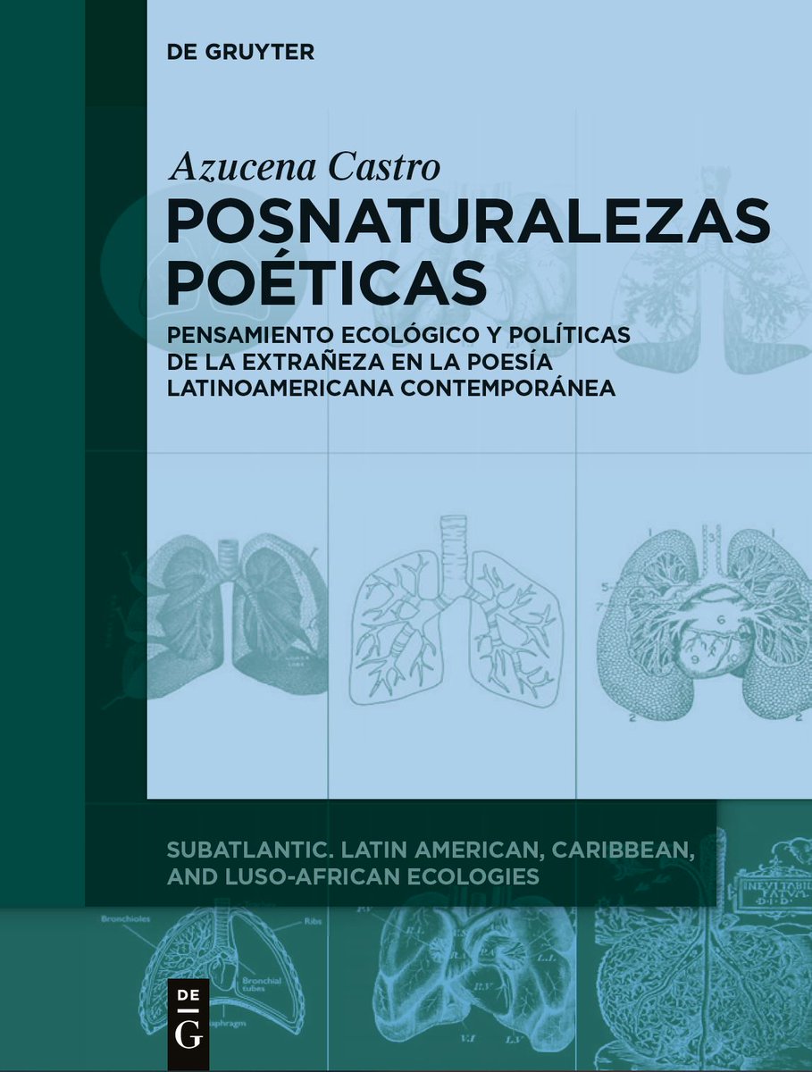 Azucena Castro tweet media