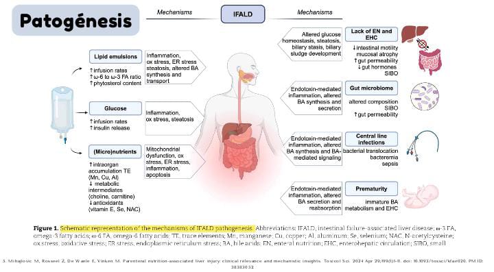 Servicio de Farmacia HGUCS tweet media