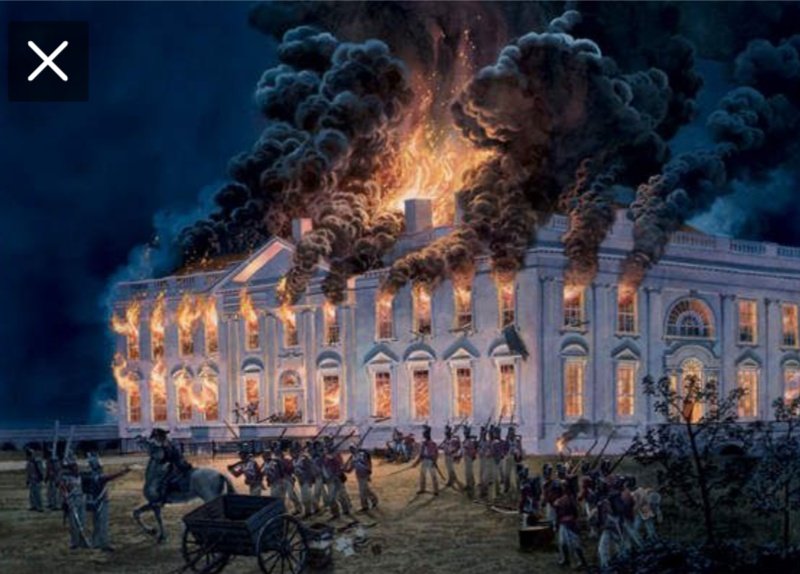 BitingOnTinfoil🇨🇦💪 tweet media