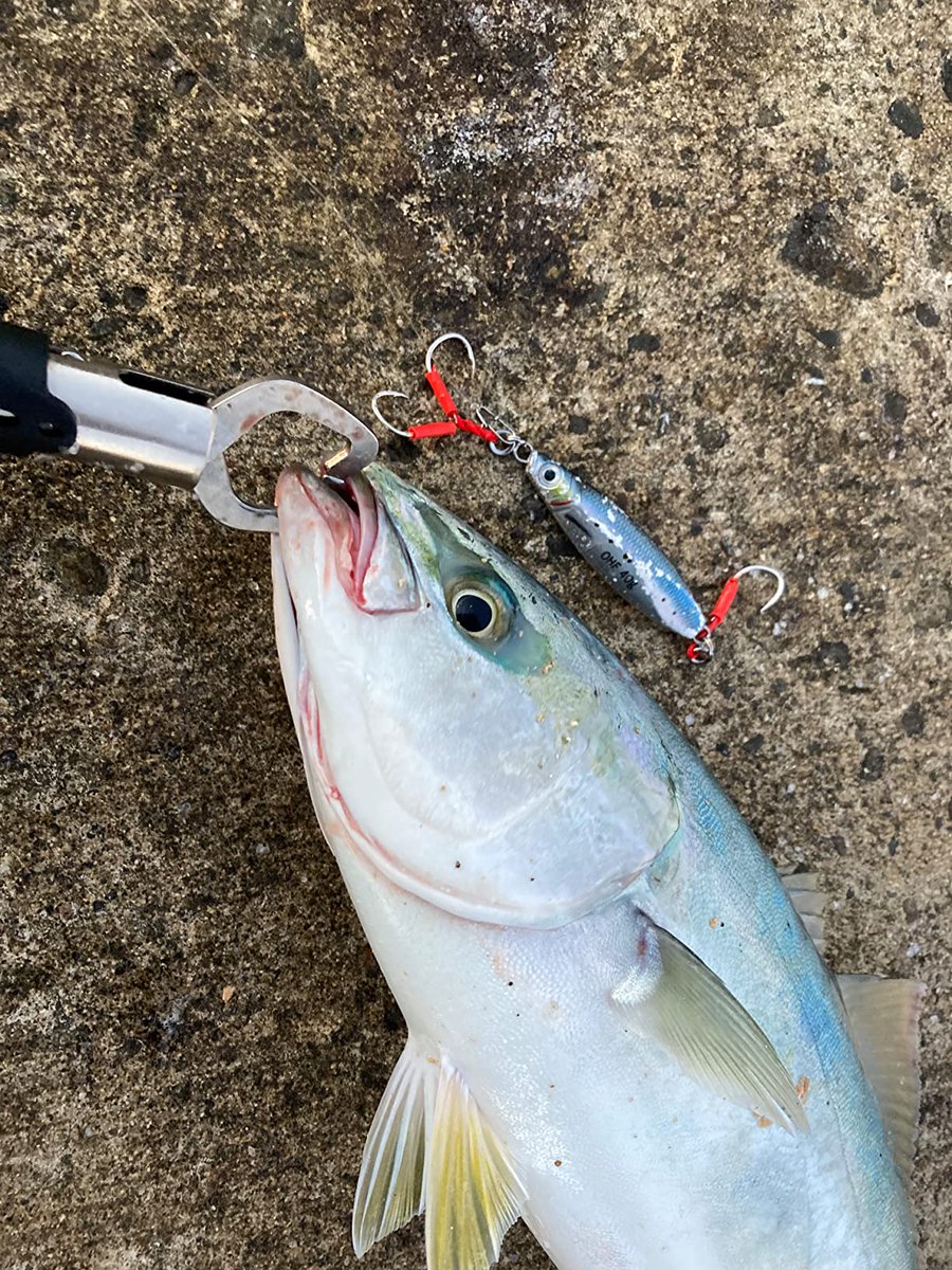 おはようございます！

今日も爆釣！