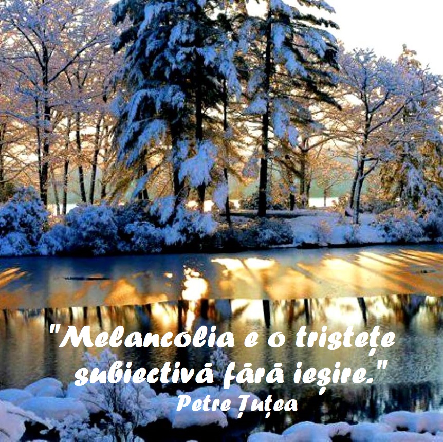 Virginia1Gina's tweet photo. "Suveran faţă de natură, supus Divinităţii, nemuritor şi liber prin depăşirea extramundană a condiţiei sale – acesta este Omul."
Petre Țuțea, 6 oct. 1902 - 3 dec. 1991
O zi senină, Lume!
#WINTER #NatureBeauty #quotesdaily #December3th #Romania https://t.co/vDC603AcsY