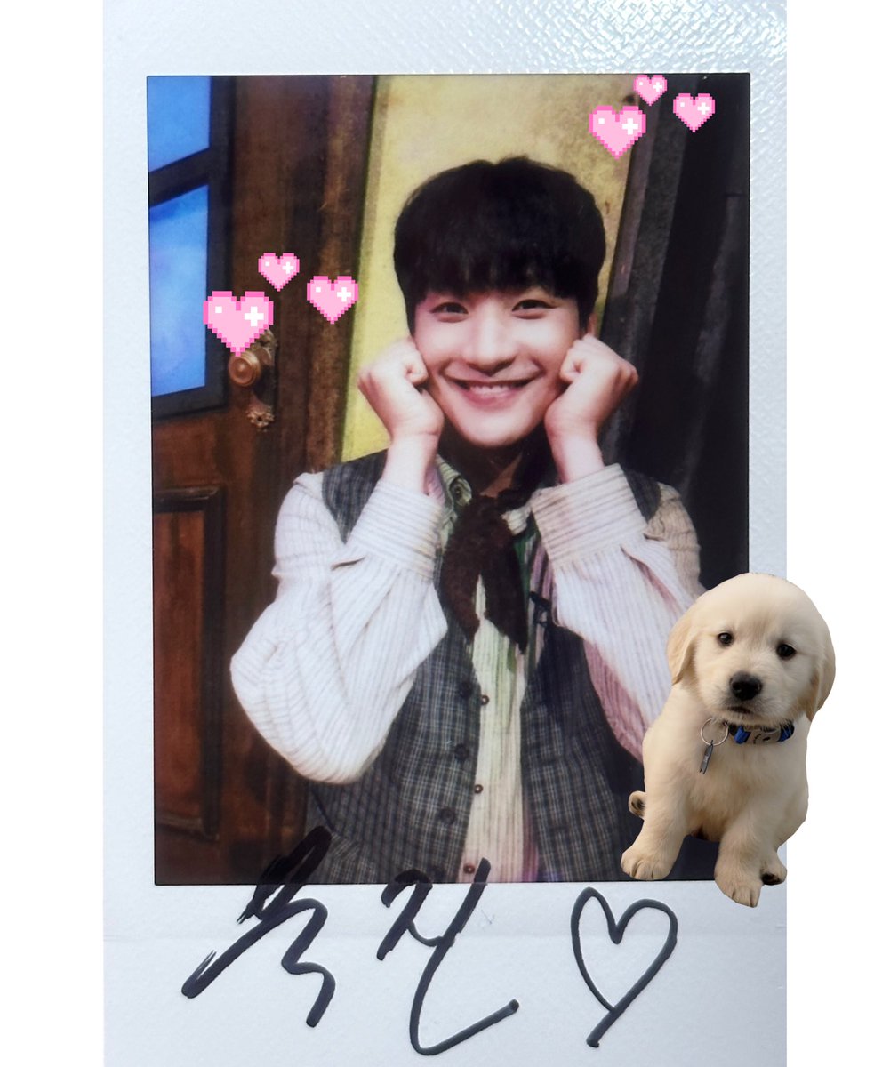pompurin_030's tweet image. 공익을 위해 공개하는 욱해웅 폴라😌
귀여움으로 성불 완료🐶👻