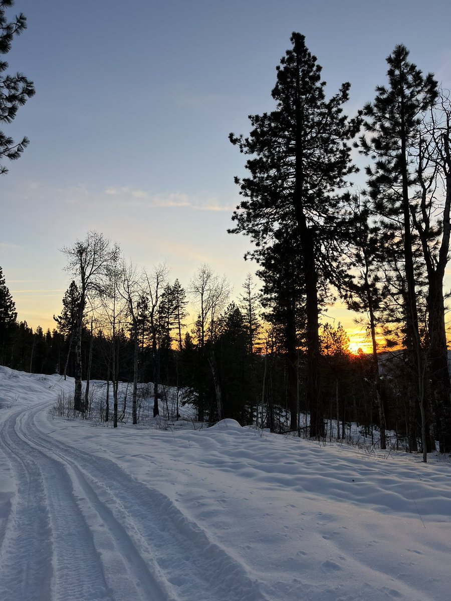 WildMntnMama's tweet photo. On the top of the mountain, we go
Where the world is a bit more slow
Where the cold wind always blows 
To the top of the mountain, we go
Where there’s nothing but trees and snow
And sunsets shine with a glow
Where our love continues to grow
To the top of the mountain, we go https://t.co/8h6H3T89oW