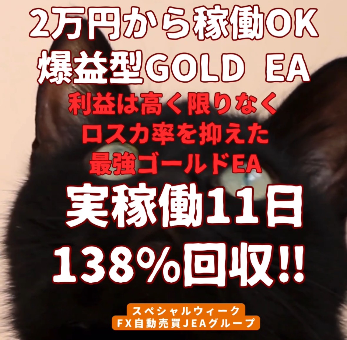 2万円から稼働OK‼️
爆益なのに溶けにくい
利益とDDのバランスが抜群！
わずかな反発で即利確、業界最速‼️
一度使えばやみつき
現役プロトレーダーが開発<a href="/06986/">かねちー@プロトレーダー兼EA開発者▶︎沖縄移住🏝️</a>
🔥究極のゴールドEA🔥
オプチャ👉 onl.sc/3xT3TeX
#ad
BTC/ドル円/FX自動売買/コピトレ/日経平均/GOLD/為替介入/XRP