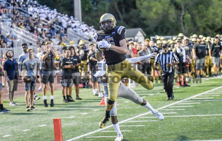 Stephen Martin tweet media