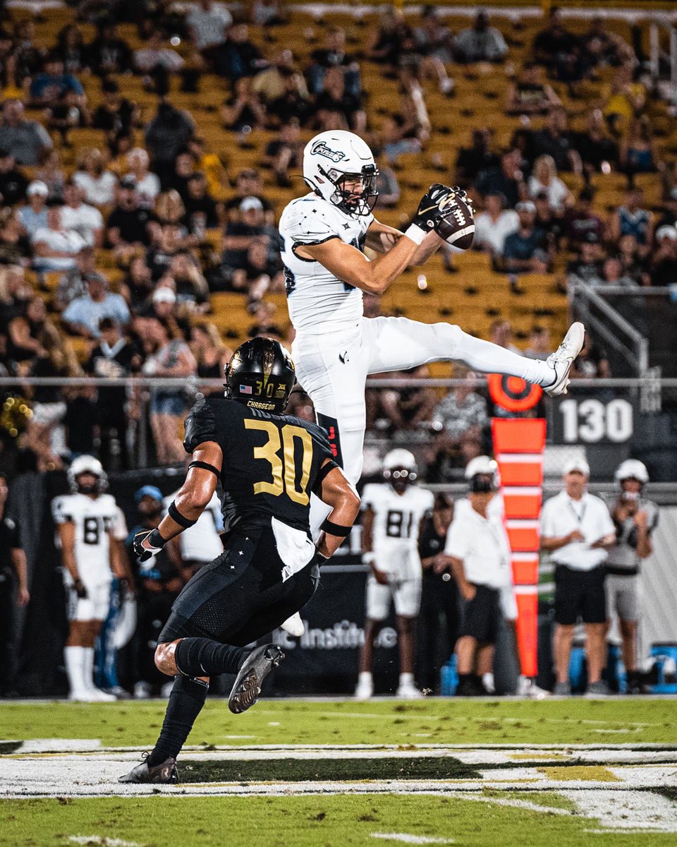 Stephen Martin tweet media