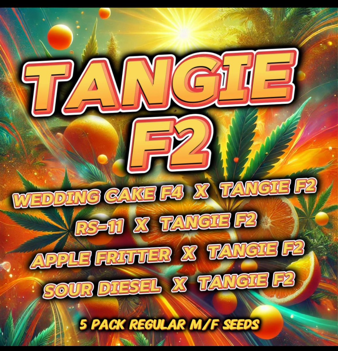 Green Wolf Genetics tweet media