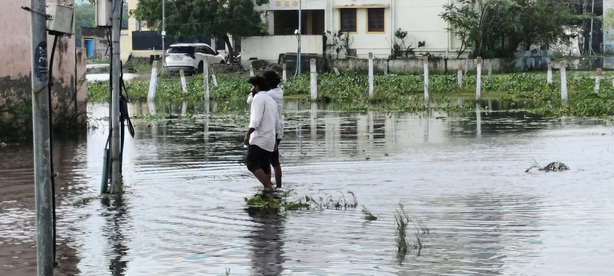Manuprasad43802's tweet photo. #today #waterlogging #flooding #rescue #UdayaNidhiStalin #FengalCyclone https://t.co/8pdxj7qnR2
