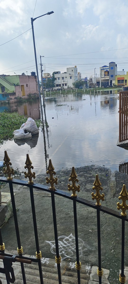 Manuprasad43802's tweet photo. #today #waterlogging #flooding #rescue #UdayaNidhiStalin #FengalCyclone https://t.co/8pdxj7qnR2