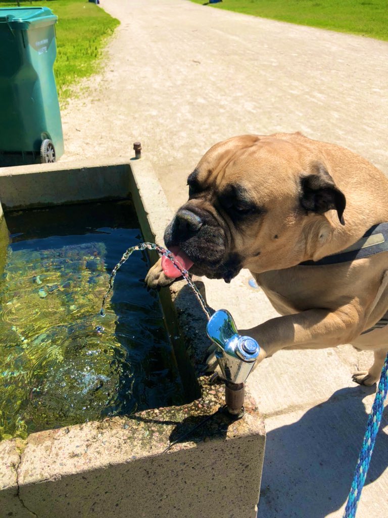 TNS | Saint Cola 🎙️PAX EAST 2026 tweet media