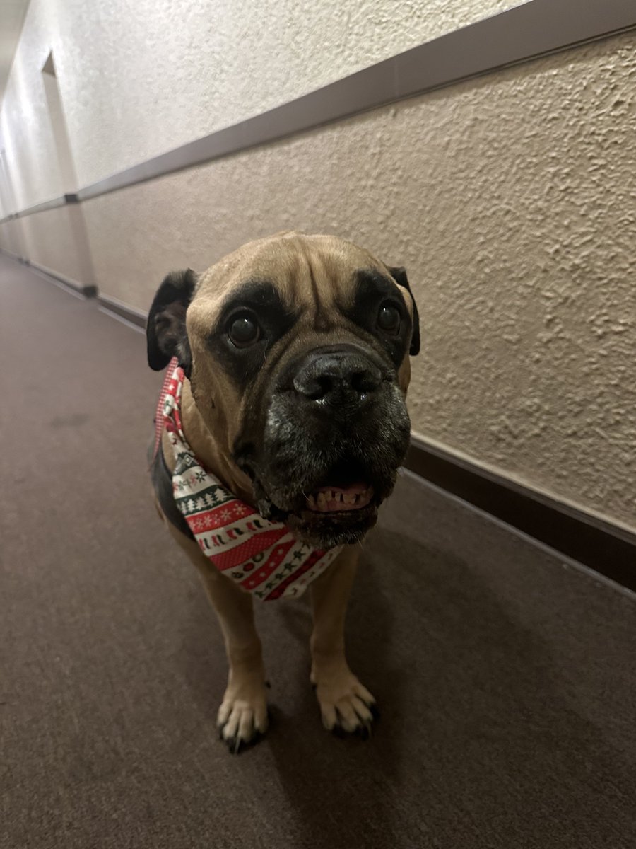 TNS | Saint Cola 🎙️PAX EAST 2026 tweet media