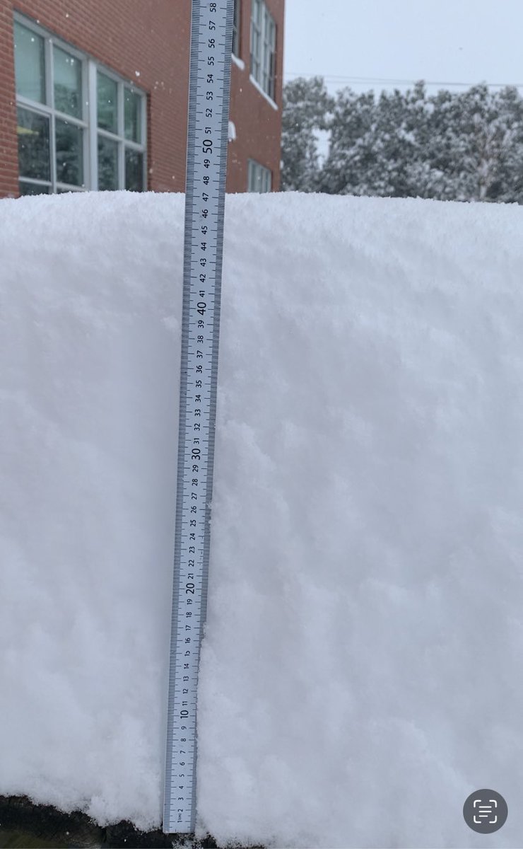 Greg Hambley tweet media