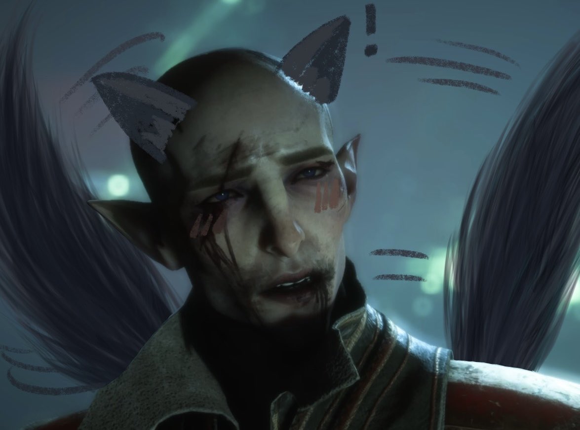 This is how y’all speak about Solas only instead of a kitten you call him a dog and 

GUESS WHAT I DON’T CARE IF YOU THINK HE IS UGLY HE IS MY WET IDIOTIC DEPRESSED DOG AND HE IS DOING HIS BEST