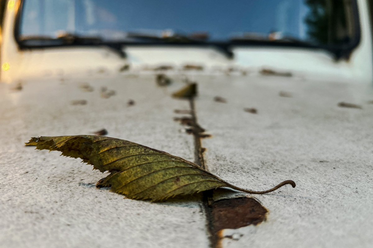 shirojee_ch's tweet photo. 🍂
そろそろ洗車せねばな。

#mt #j37 #mitsubishijeep
#shirojee_ch #mitsubishijeep
#三菱ジープ #三菱jeep
#30系オーナーズクラブ
#じゅんさい池緑地 https://t.co/dIEn1PKnMs