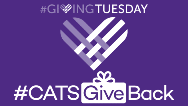 ph4235's tweet photo. Calling all Wildcats! It's time to give back and support the future of Northwestern.  https://t.co/FZqY4frCHm @NUAlumni https://t.co/idXCvvRMPP