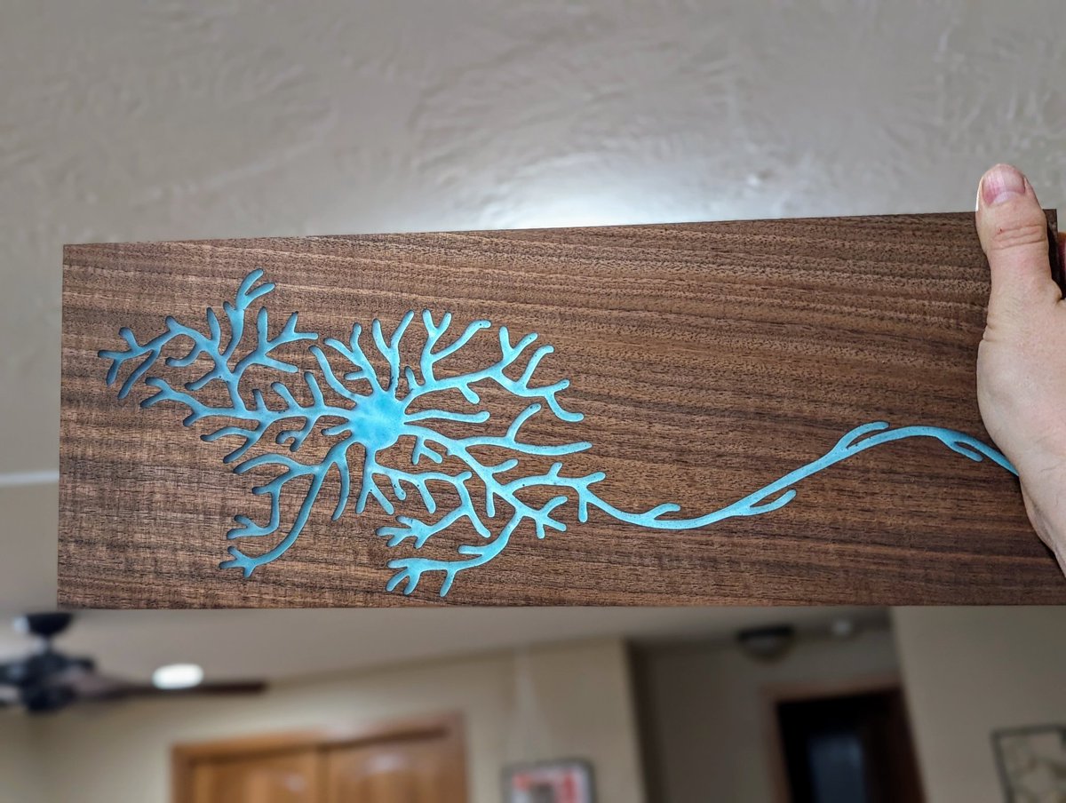 NeuroWoodworks's tweet photo. I had wanted to make this for a long time, a mouse shaped by a neuron. This is the epoxy version. I made two in parallel, one is spoken for but the other can be purchased on my website (link in comment). #neuroart #handcrafting https://t.co/jDeUI8r2kc