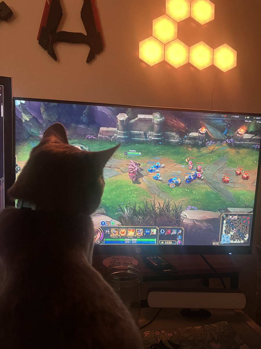 WychOne_'s tweet photo. bro does not know how to play this https://t.co/hXnGyii963