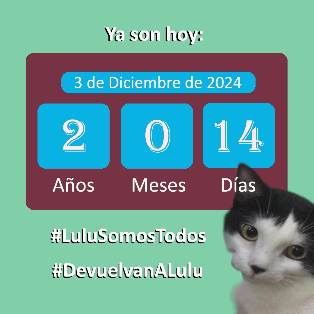 NuriTrejo's tweet photo. #3Dic Nada permanece igual, todo cambia. Creer que se burlan escondiéndose tras la venda caída no hará diferencia. Es el tiempo el que la hará, porque nada escapa de la verdad. #Seguimos con fe esperándote! #LuluSomosTodos https://t.co/UxYXa0k71R