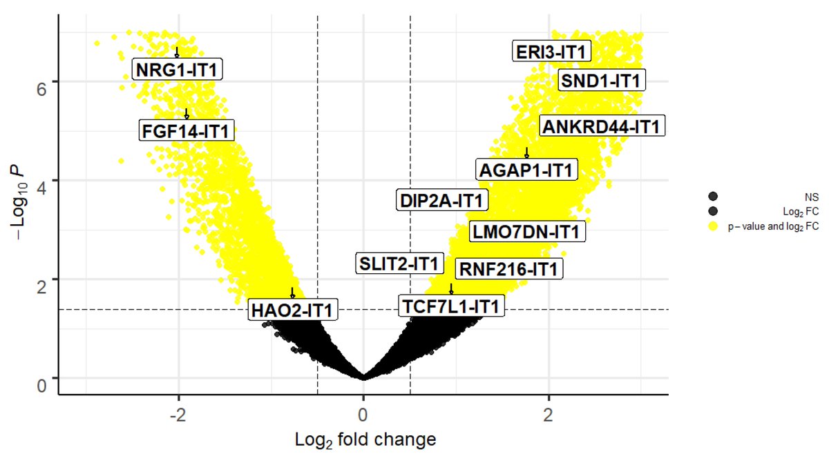 Non_Coding_RNA's tweet photo. 🌟Presenting Our Article Paper🌟

"Identification of Differentially Expressed Intronic Transcripts in #Osteosarcoma" from @EmelRothzerg  et al.
#lncRNA #micropeptide

Full text: https://t.co/Jf7PYqqL37 https://t.co/k2LNfYJfkh
