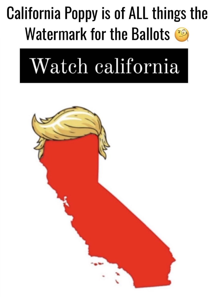 myfriendblondie's tweet photo. “Will VOTER FRAUD in CA ever be brought to light?” - 

California STILL hasn't finished counting votes‼️‼️‼️‼️‼️

California Poppy is of all things the watermark on the ballot 🌻

#WatchCalifornia https://t.co/l57nnc5HhU